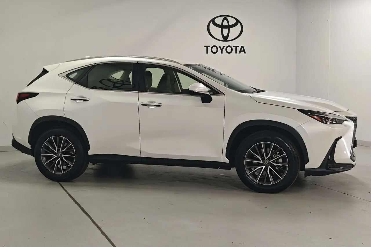 2023 Lexus NX Gallery Image 4