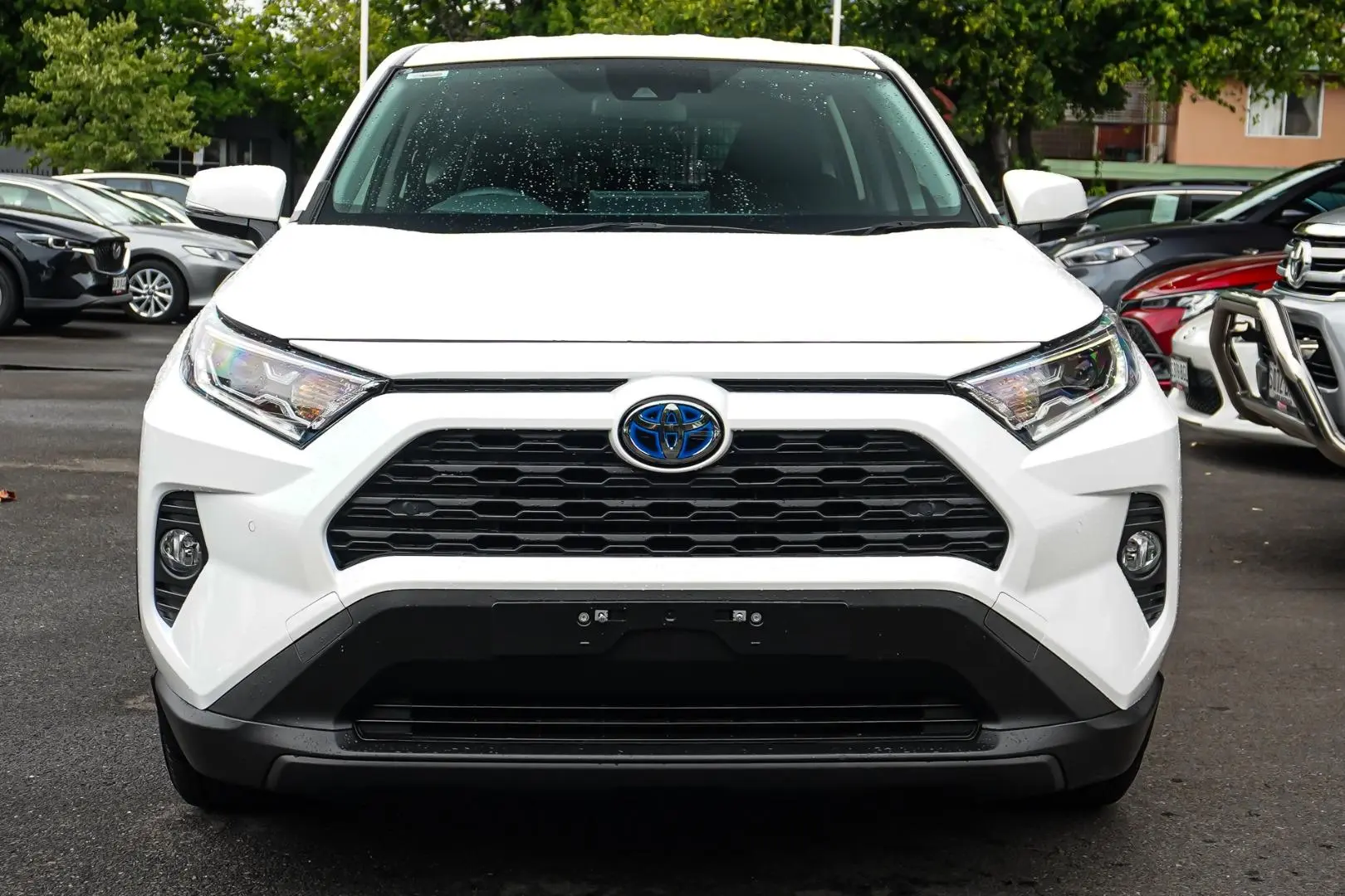 2020 Toyota RAV4 Gallery Image 4