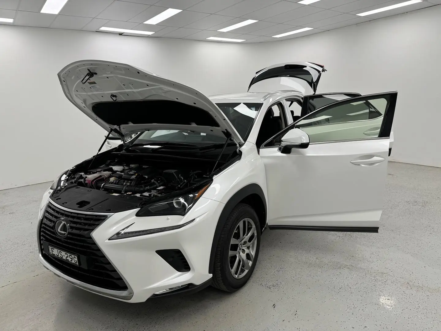 2021 Lexus NX Gallery Image 12