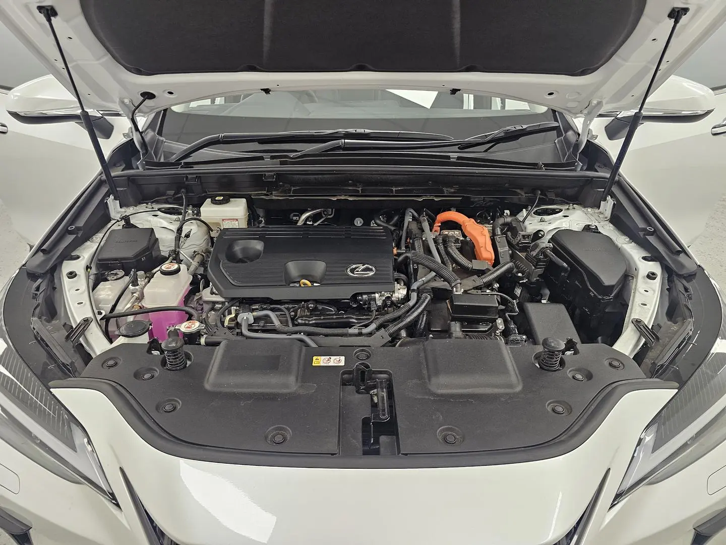 2025 Lexus NX Gallery Image 26