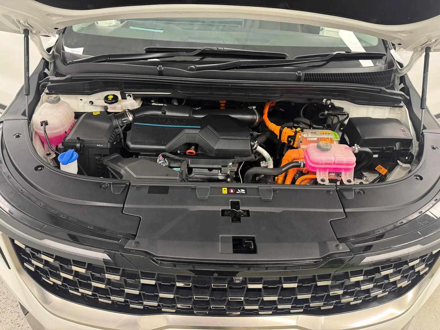 2024 Kia Carnival Gallery Image 14