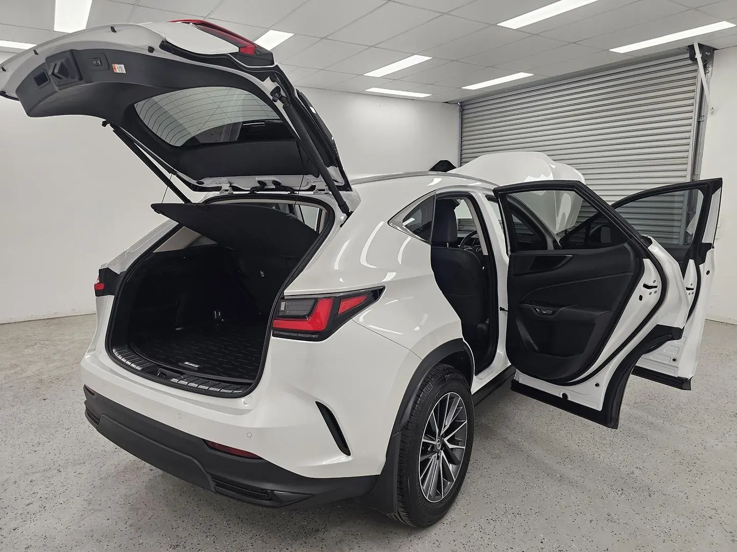 2025 Lexus NX Gallery Image 19