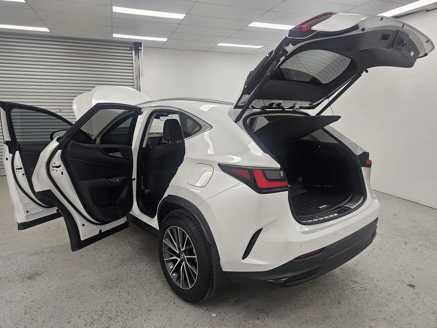 2025 Lexus NX Gallery Image 16